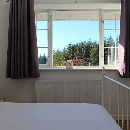 The Hotel *